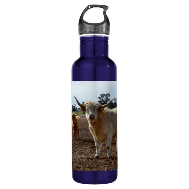 Cattle on the Loose: Highland Cows Wheat Heist 710 Ml Water Bottle (Front)