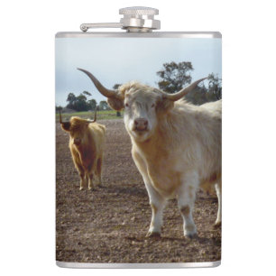 Cattle on the Loose: Highland Cows Wheat Heist Hip Flask