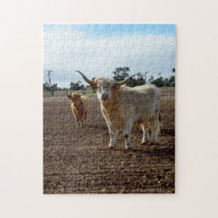 Cattle on the Loose: Highland Cows Wheat Heist Jigsaw Puzzle