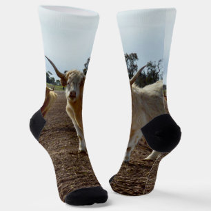 Cattle on the Loose: Highland Cows Wheat Heist Socks