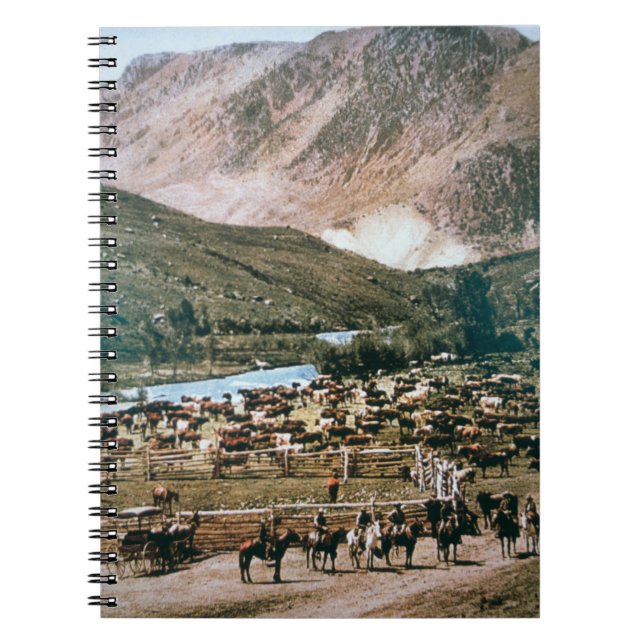 Cattle Ranch, Colorado, 1899 (photo) Notebook (Front)