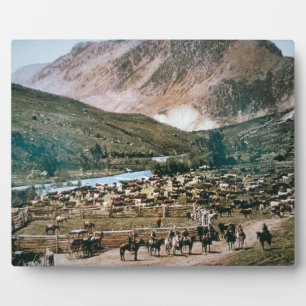 Cattle Ranch, Colorado, 1899 (photo) Plaque