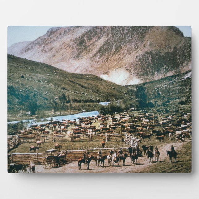 Cattle Ranch, Colorado, 1899 (photo) Plaque (Front)
