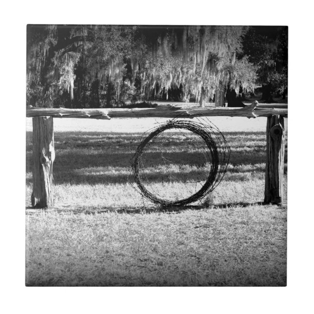 Cattle Ranch Tile (Front)