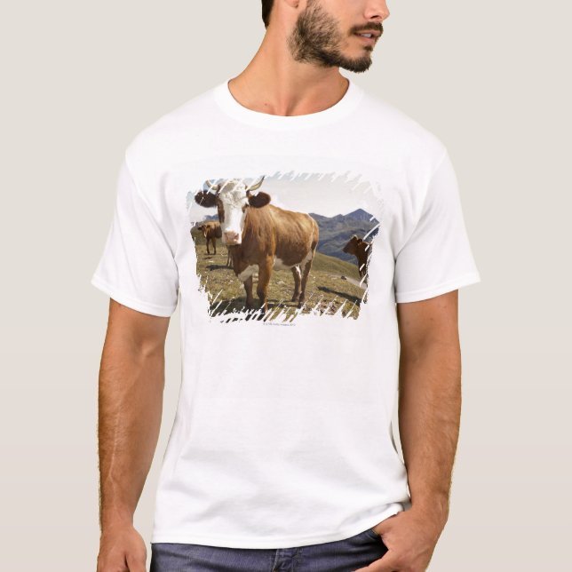 Cattle T-Shirt (Front)