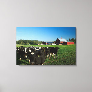Cattle with Red Barn and Mount Rainier Canvas Print
