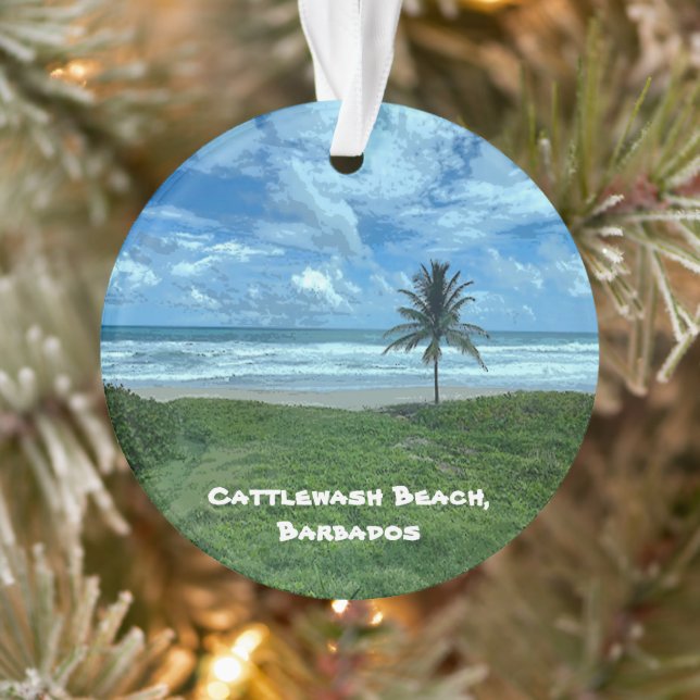 Cattlewash Beach, Barbade (Arbre)