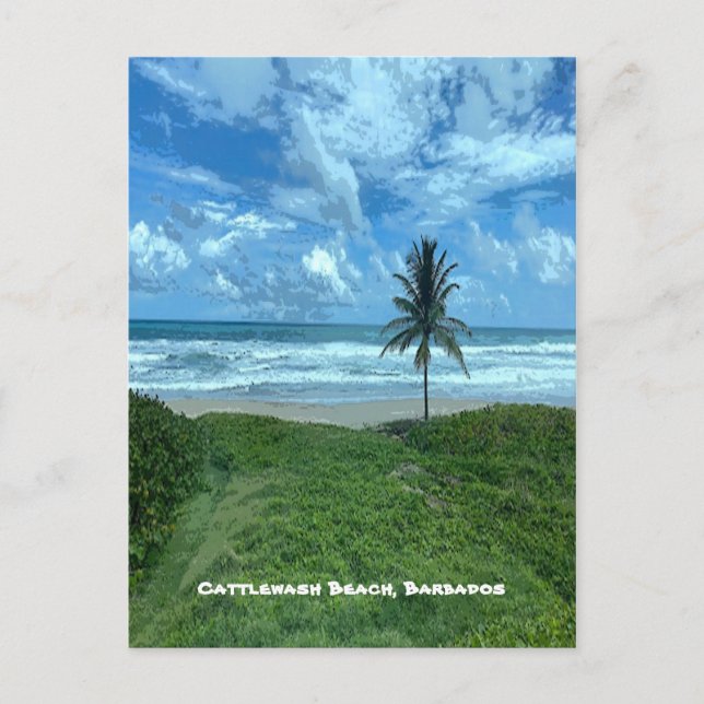 Cattlewash Beach, Barbados Postcard (Front)