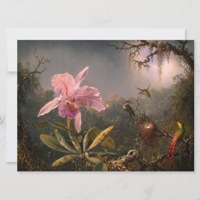 Cattleya Orchid and Three Hummingbirds (Heade) Card (Front)