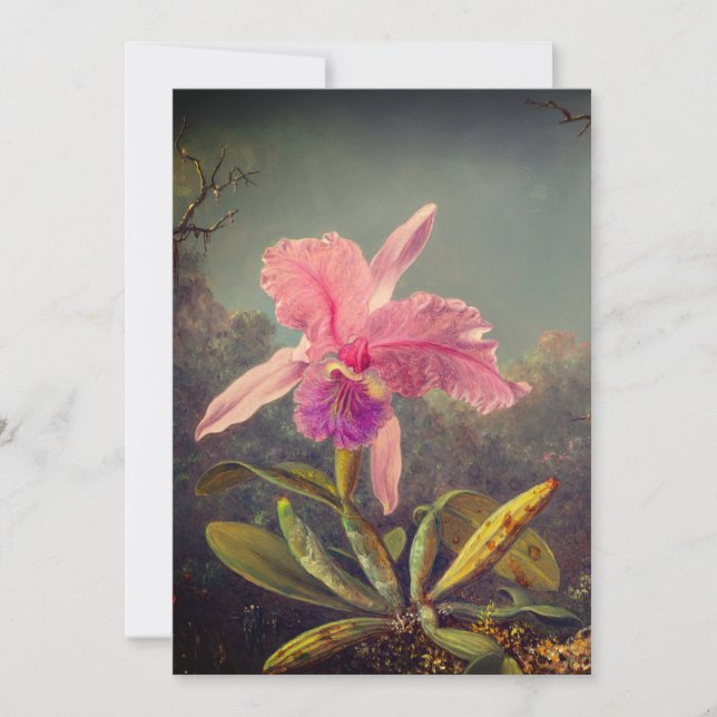 Cattleya Orchid and Three Hummingbirds Heade Invitation (Front)