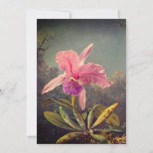 Cattleya Orchid and Three Hummingbirds Heade Invitation