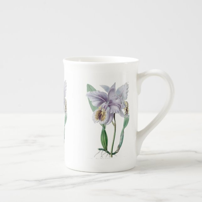 Cattleya Orchid  Botanical Bone China Mug (Right)