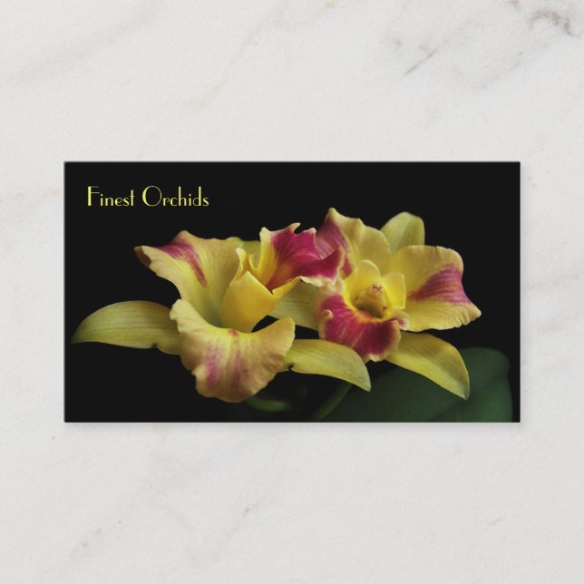 Cattleya Orchid Business Cards (Front)