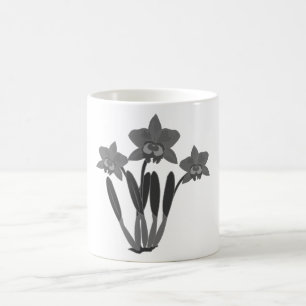 Cattleya Orchid Café Mug