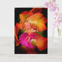 Cattleya Orchid Portrait Mother's Day