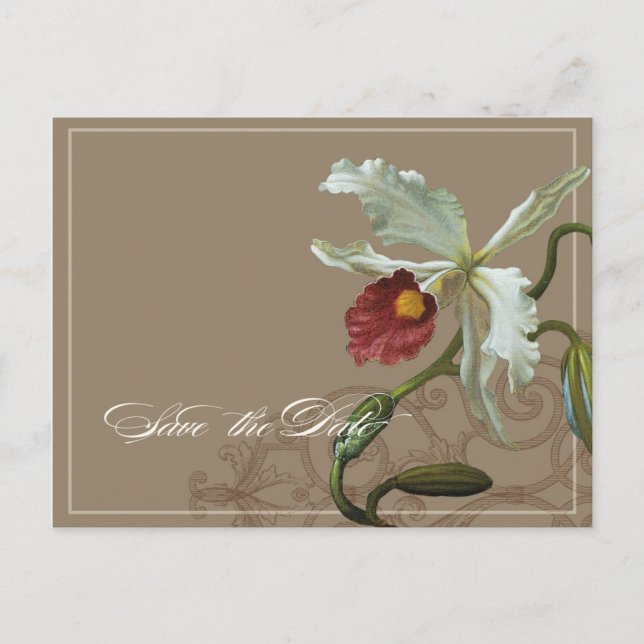 Cattleya Orchid Taupe - Enregistrer la date carte  (Devant)