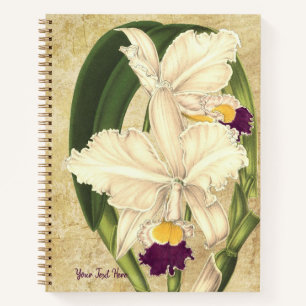 Cattleya quadricolor Spiral Notebook