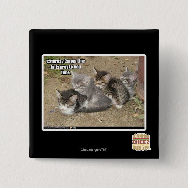 Caturday Conga Line 2 Inch Square Button (Front)