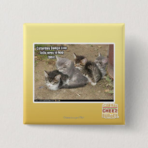 Caturday Conga Line 2 Inch Square Button