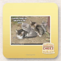 Caturday Conga Line