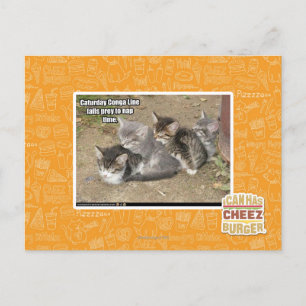 Caturday Conga Line Postcard