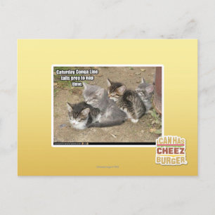 Caturday Conga Line Postcard