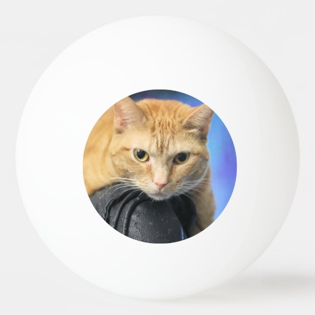 Caturday Ping Pong Ball (Front)