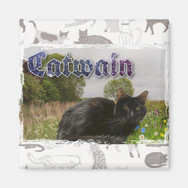 Catwain  magnet (Front)