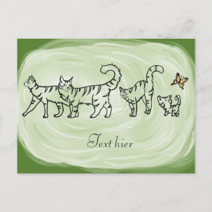 Catwalk, personalisiert postcard