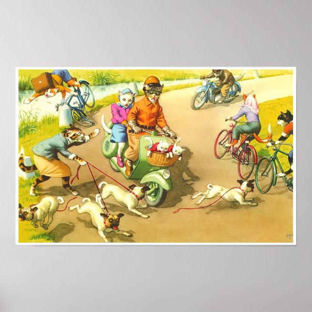 CATWALKS : Une balade en scooter sauvage Poster Ar (Devant)