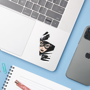 Catwoman The Claws Are Out Cover Illustration