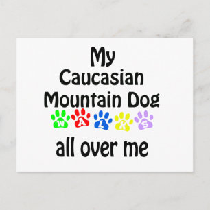 Caucasian Mountain Dog Walks Design Postcard