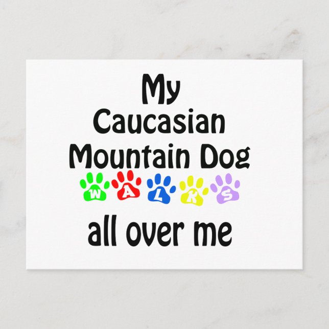 Caucasian Mountain Dog Walks Design Postcard (Front)