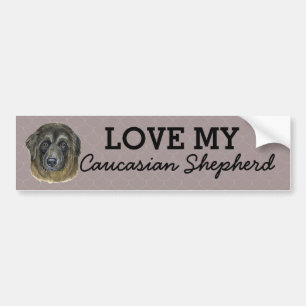 Caucasian Shepherd Bumper Sticker