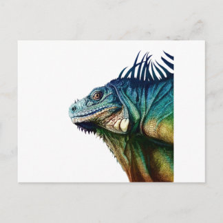 CAUGHT IN MOMENTS POSTCARD