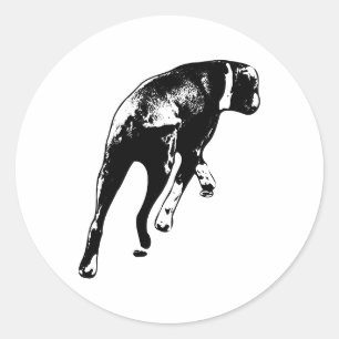 Caught Mid-Step – Rear Angle Dog Classic Round Sticker