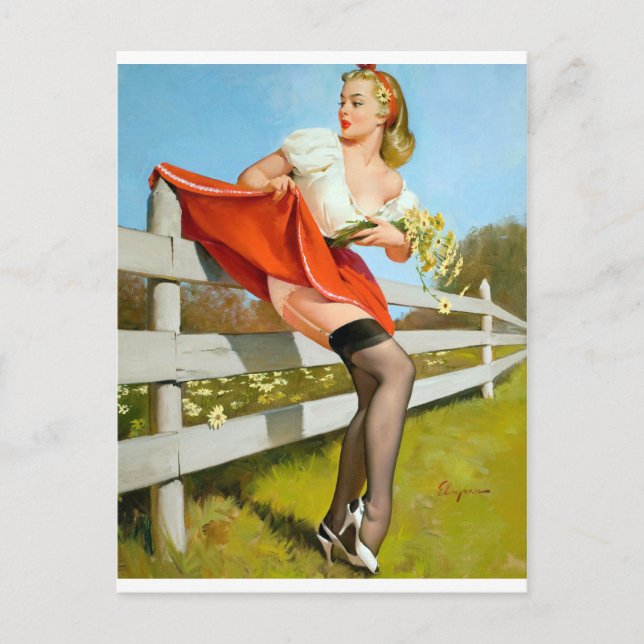 Caught on Fence Pin Up Postcard (Front)