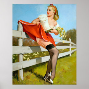 Caught on Fence Pin Up Poster