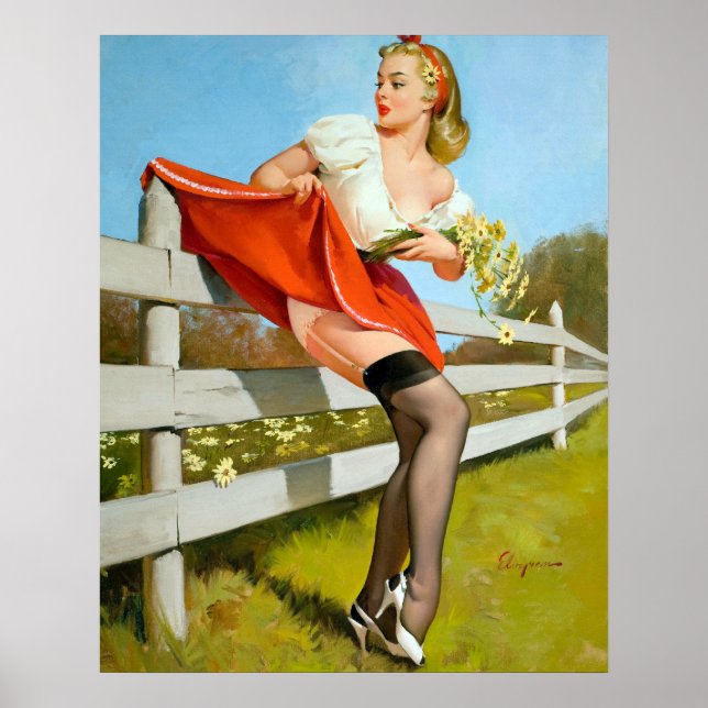 Caught on Fence Pin Up Poster (Front)