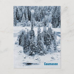 Caumasee Postcard