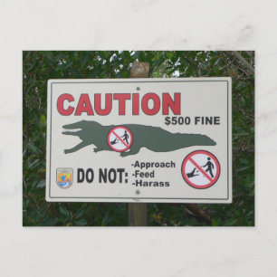 Caution Alligators Sign Postcard