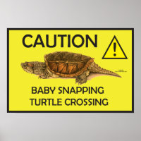 Caution Snapping Turtle Crossing Poster