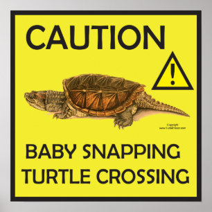 Caution Snapping Turtle Crossing Poster