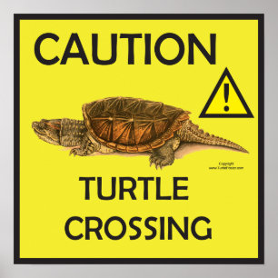Caution Snapping  Turtle Crossing Poster
