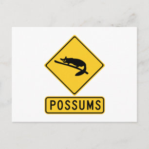 Caution With Possums 2, Traffic Warning Sign, AU Postcard