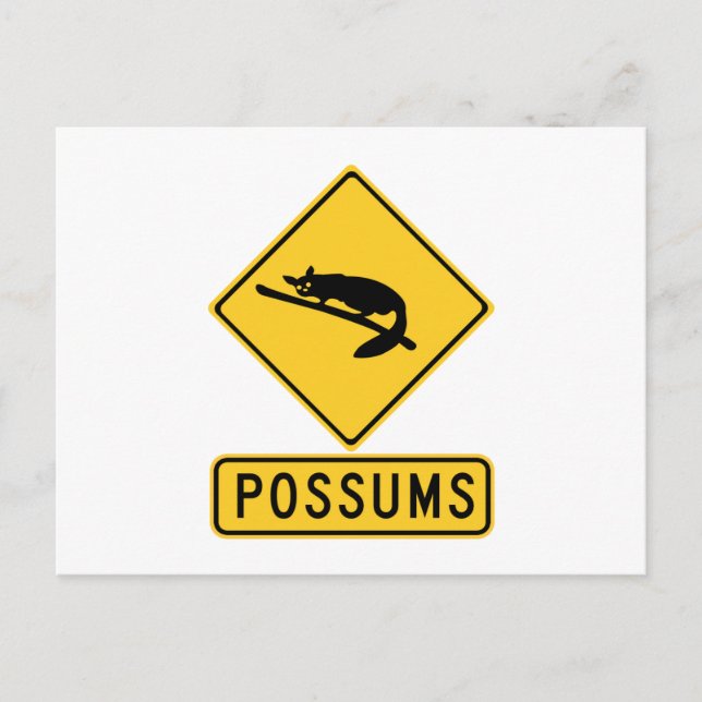 Caution With Possums 2, Traffic Warning Sign, AU Postcard (Front)