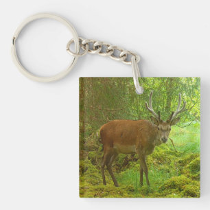  Cautious Red Deer Stag Keychain