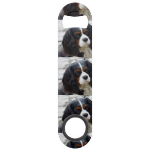 cav 2 bar key
