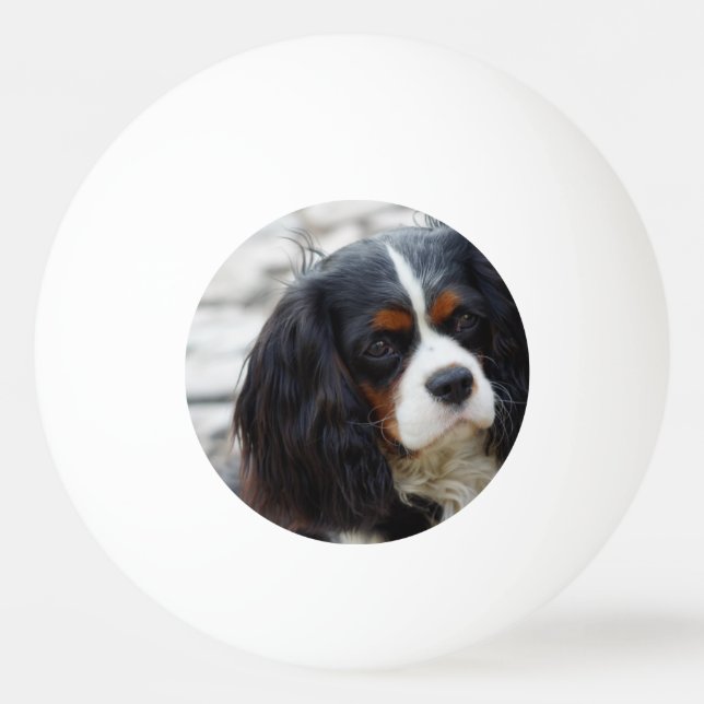 cav 2 ping pong ball (Front)