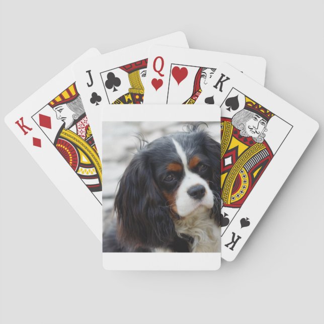 cav 2 playing cards (Back)